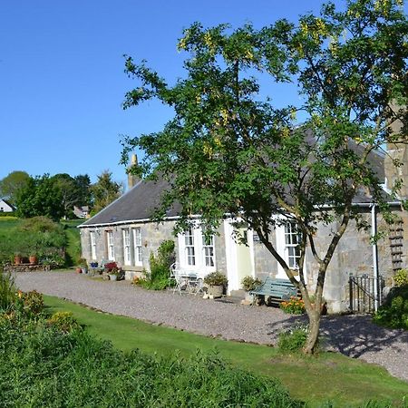 Balmungo Cottage B&B St Andrews Extérieur photo
