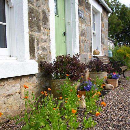 Balmungo Cottage B&B St Andrews Extérieur photo