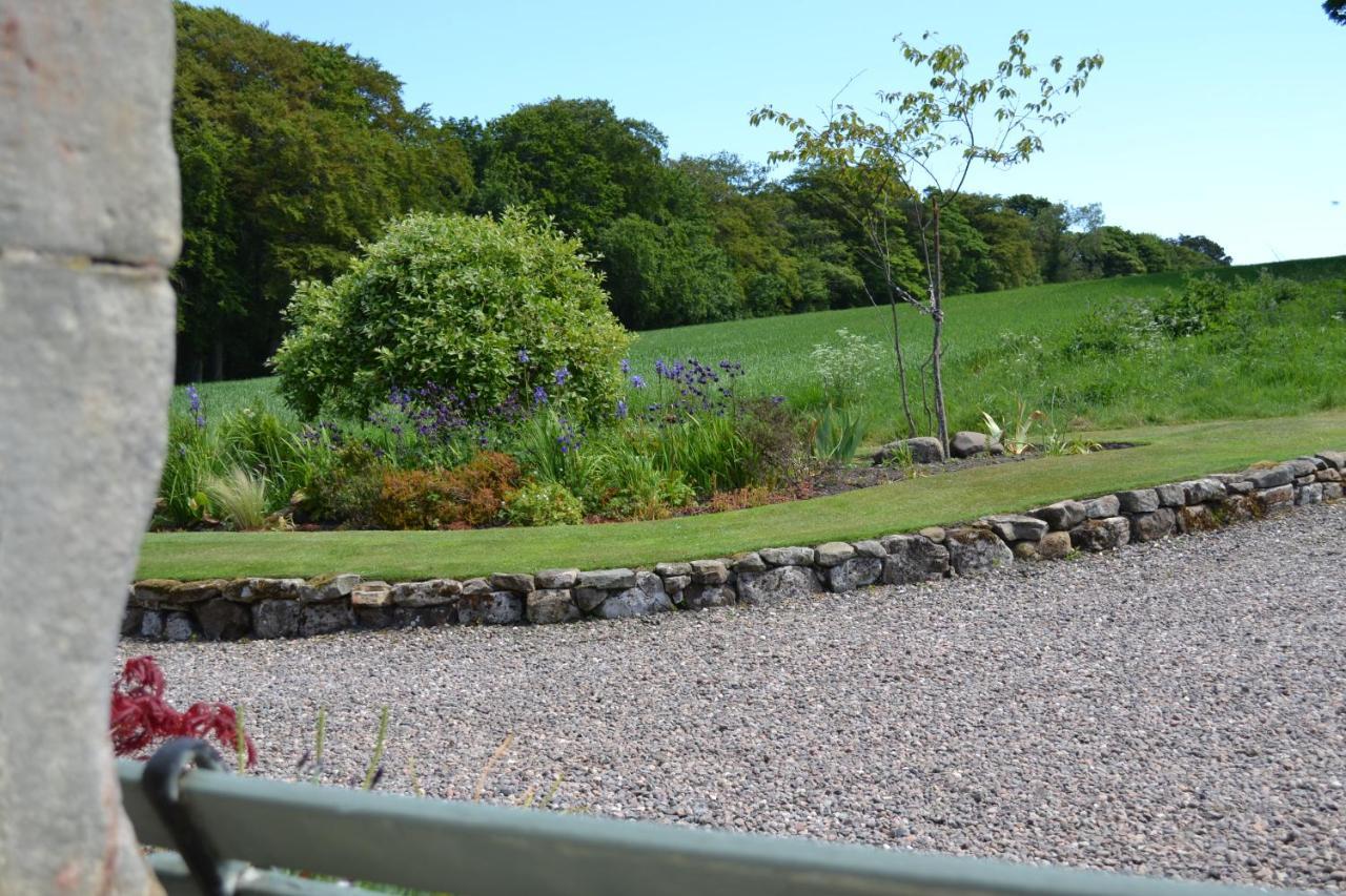 Balmungo Cottage B&B St Andrews Extérieur photo