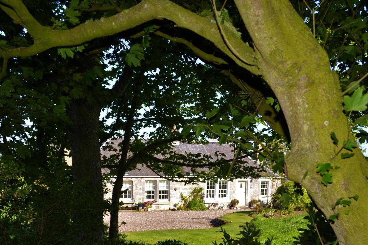 Balmungo Cottage B&B St Andrews Extérieur photo