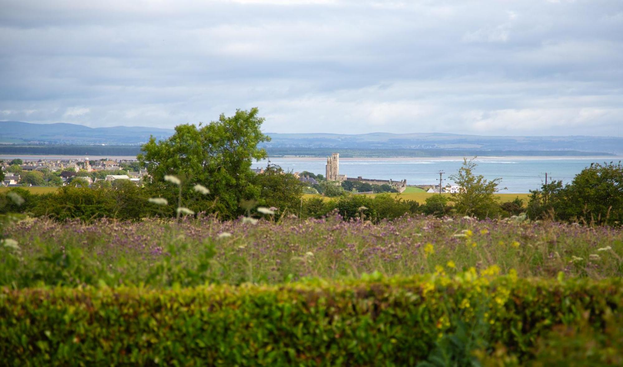 Balmungo Cottage B&B St Andrews Extérieur photo