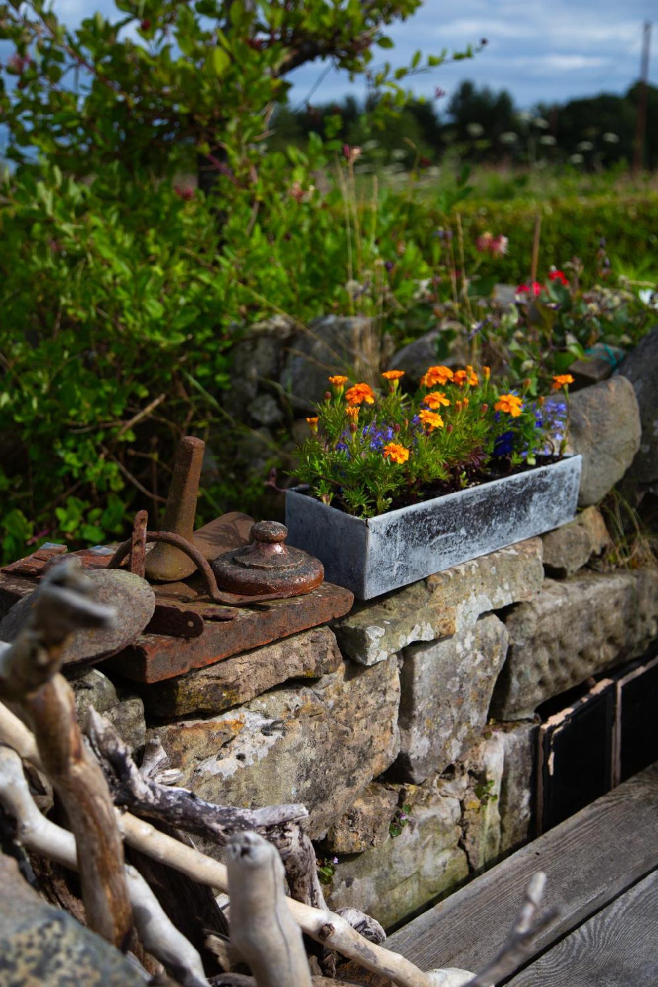 Balmungo Cottage B&B St Andrews Extérieur photo