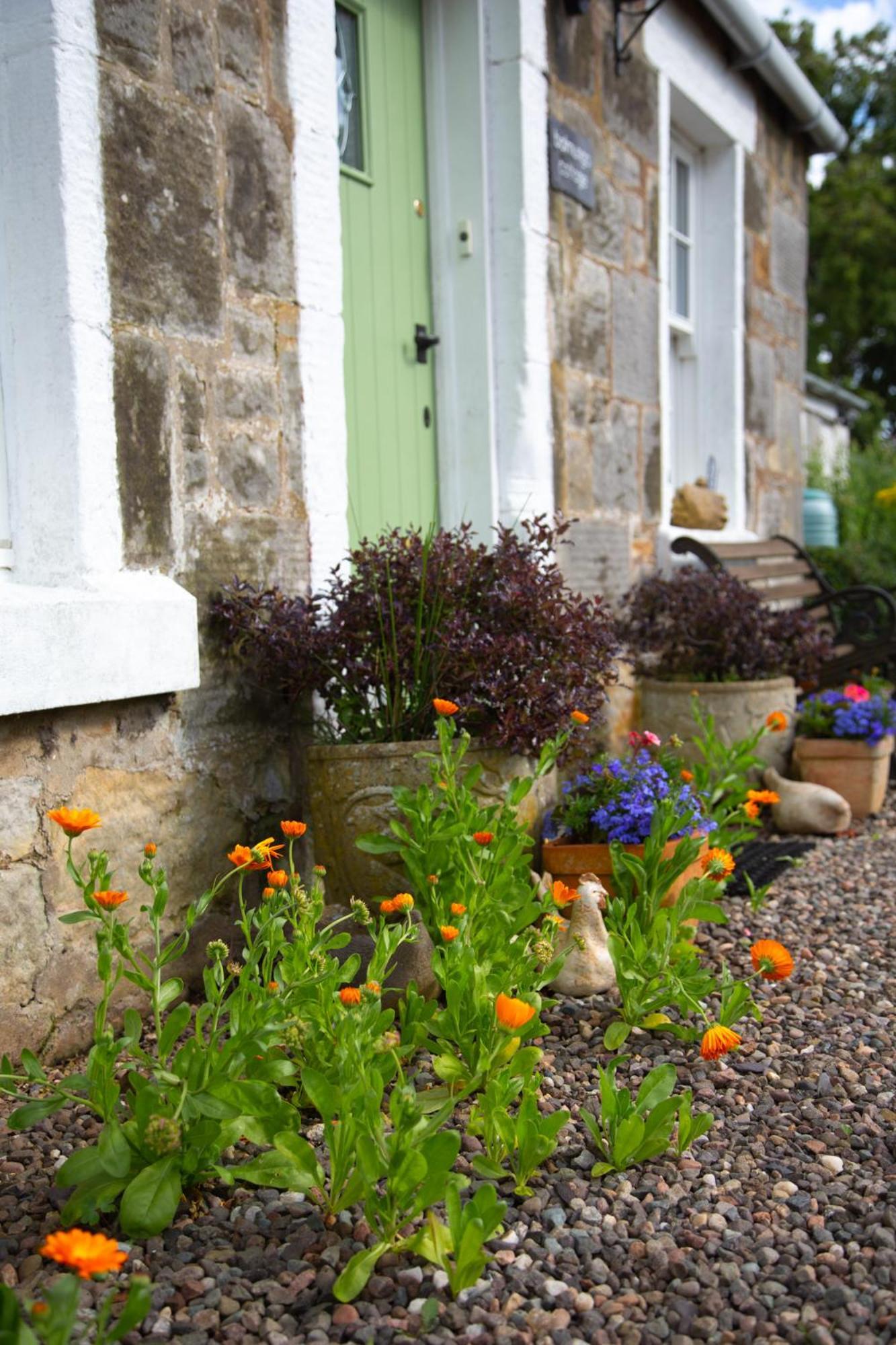 Balmungo Cottage B&B St Andrews Extérieur photo