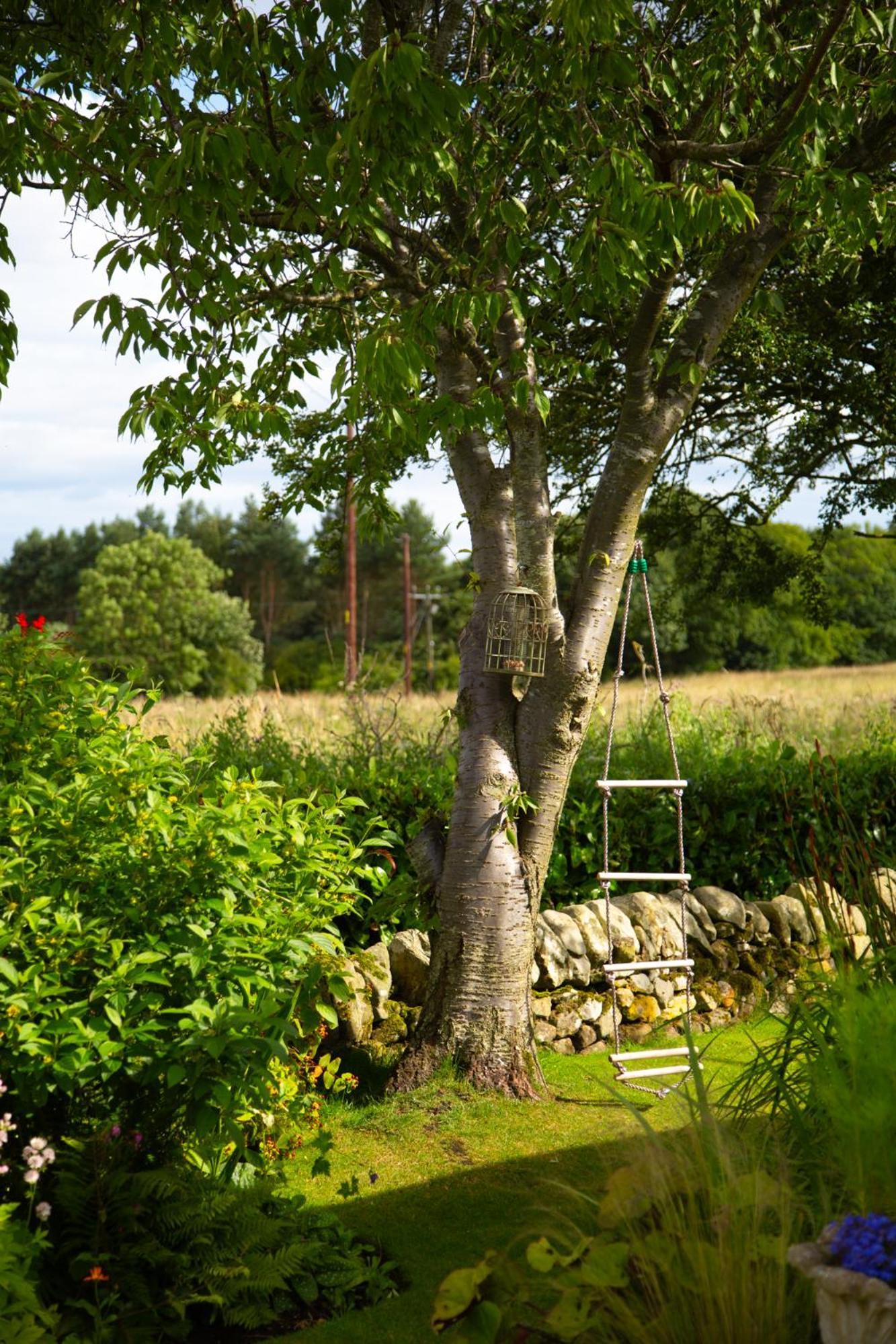 Balmungo Cottage B&B St Andrews Extérieur photo