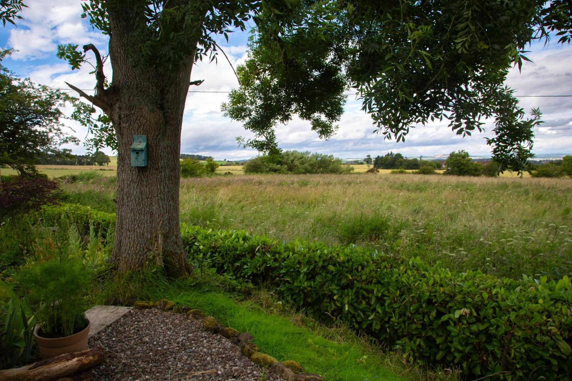Balmungo Cottage B&B St Andrews Extérieur photo