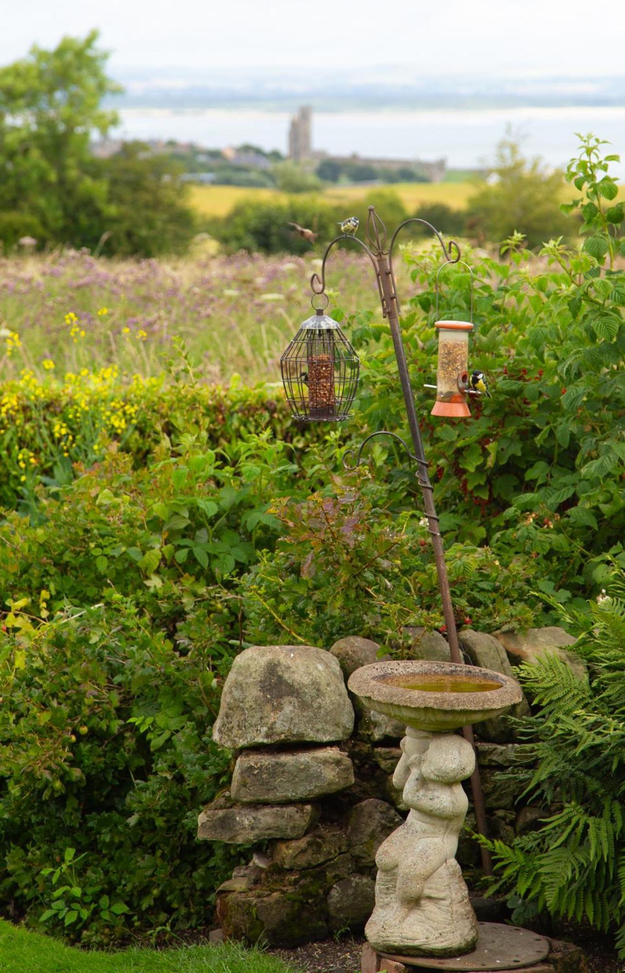 Balmungo Cottage B&B St Andrews Extérieur photo
