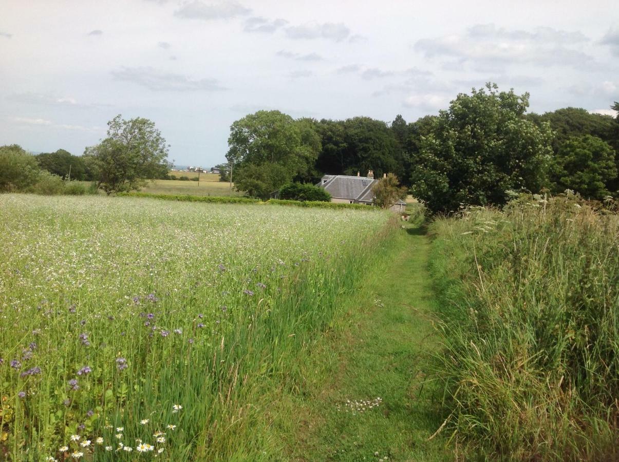 Balmungo Cottage B&B St Andrews Extérieur photo
